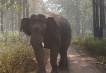 เดเดฑเดณเด เดซเดพเดฎเดฟเดฒเตโ เดตเตเดฆเตเดงเดฏเต เดเดพเดเตเดเดพเดจ เดเดตเดฟเดเตเดเดฟเดเตเดเตเดจเตเดจเต