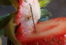 സ്ട്രോബെറിപ്പഴങ്ങളില് നിന്നും തയ്യല് സൂചി കണ്ടെത്തിയ സംഭവത്തില് അമ്പതുകാരി അറസ്റ്റില്